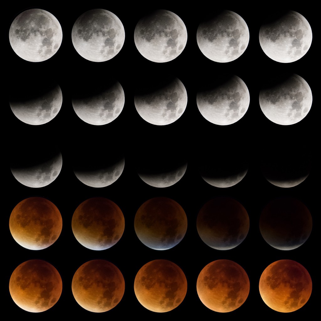 Blutmond – die Verwandlung
